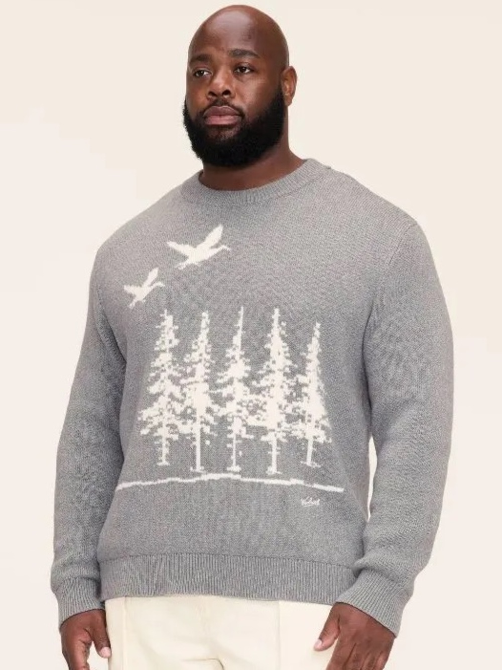NWT Woolwich Adult Scenic Pullover Sweater - gray, size XL